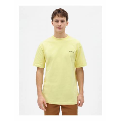 Dickies Loretto Tee - Mint
