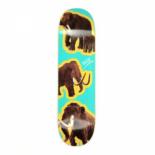 Alltimers Species Will Deck - 8.3