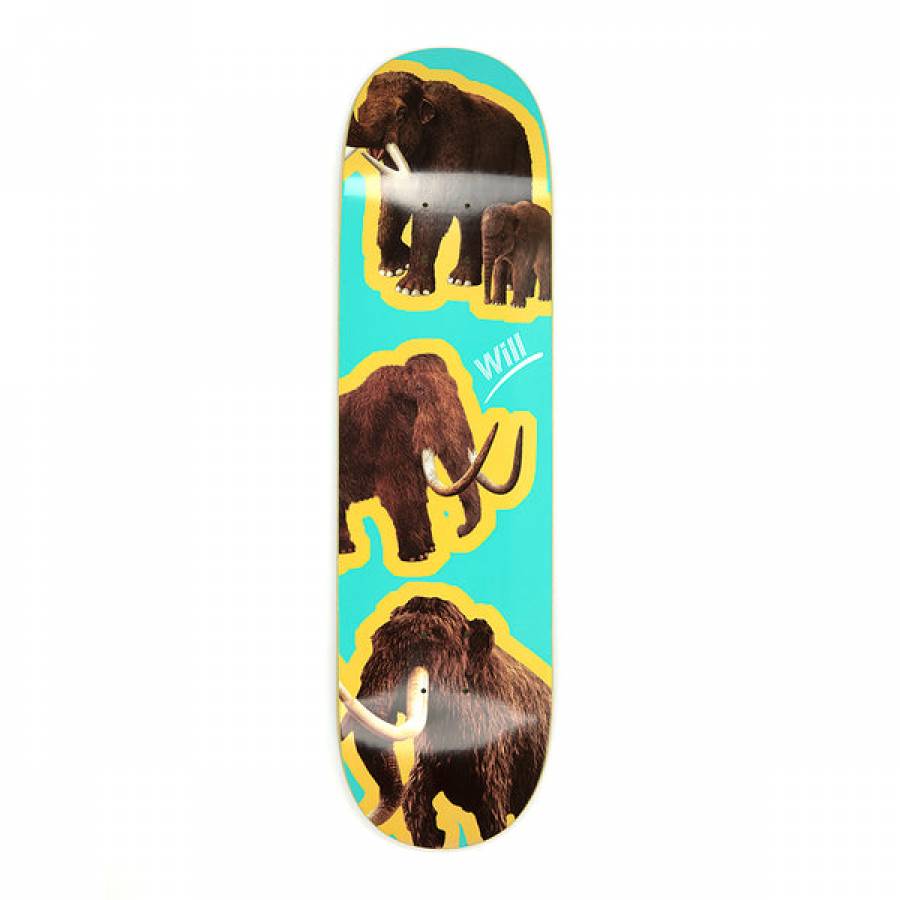 Alltimers Species Will Deck - 8.3