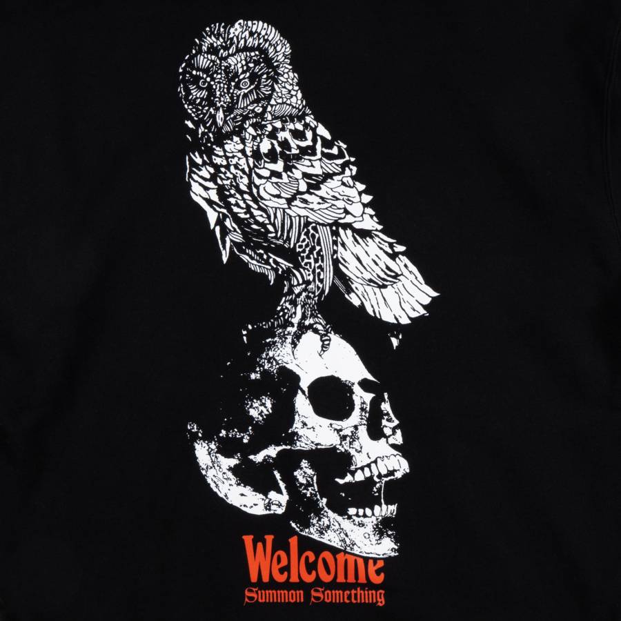 Welcome Skateboards Bird Brain Pullover Hoodie - Black
