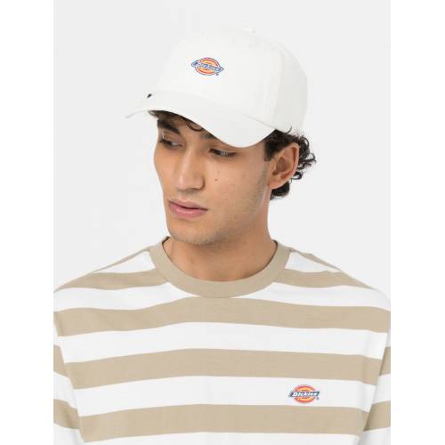 Dickies Hardwick Baseball Cap - Cloud