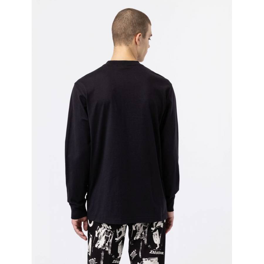 Dickies Mount Vista Long Sleeve T-Shirt - Black