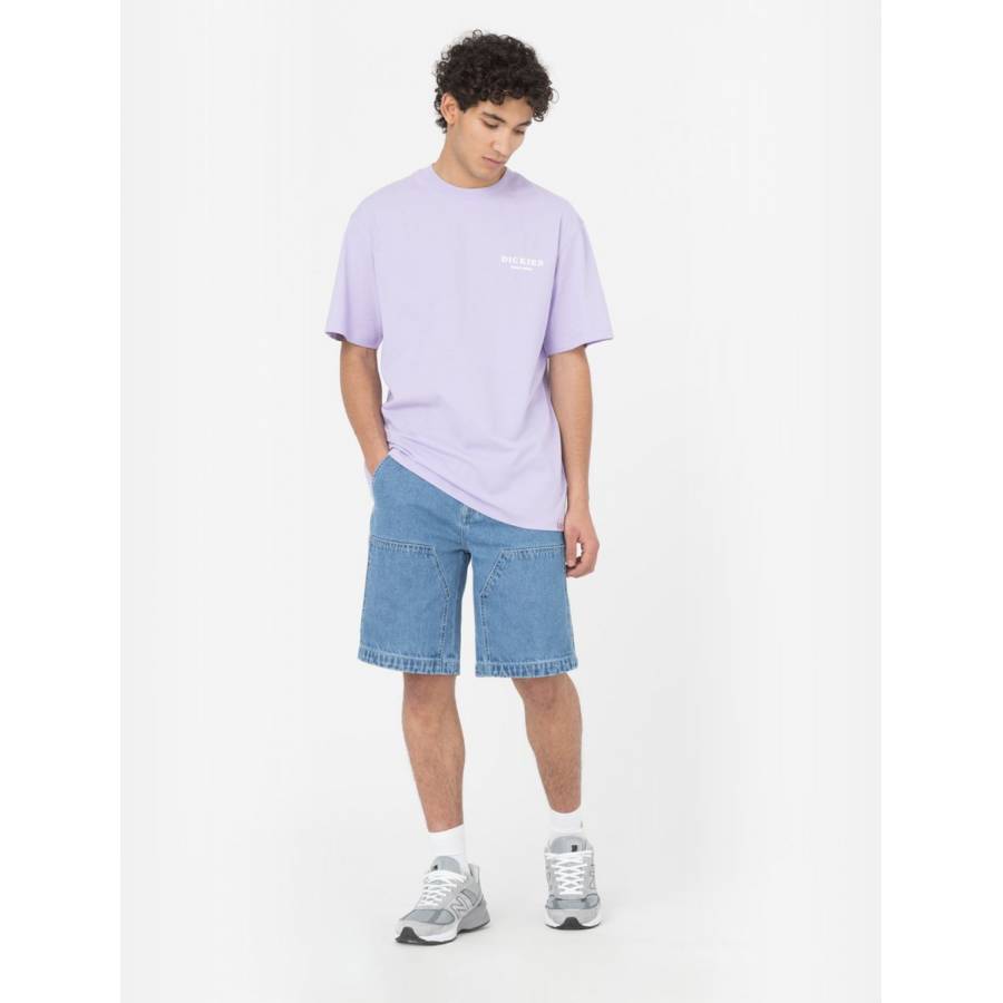 Dickies Denim Chap Shorts - Light Wash