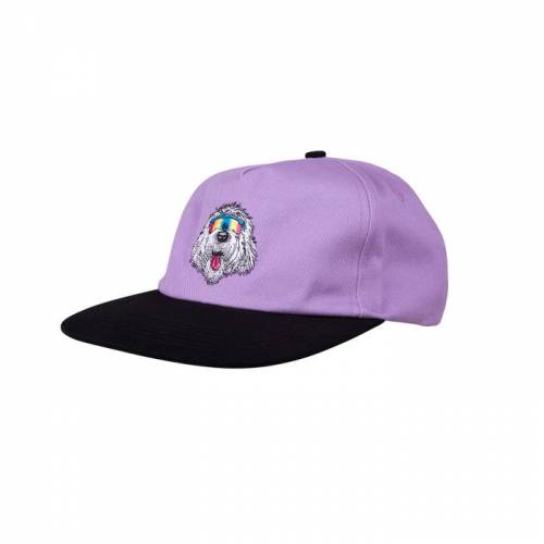 Santa Cruz McCoy Donut Dog Cap - Digital Lavender