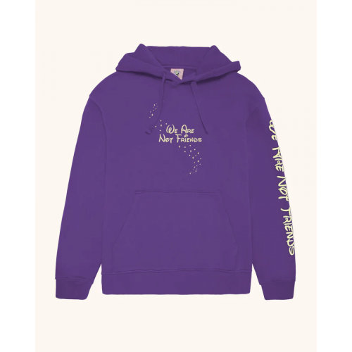We Are Not Friends Star Wizard World Hoodie