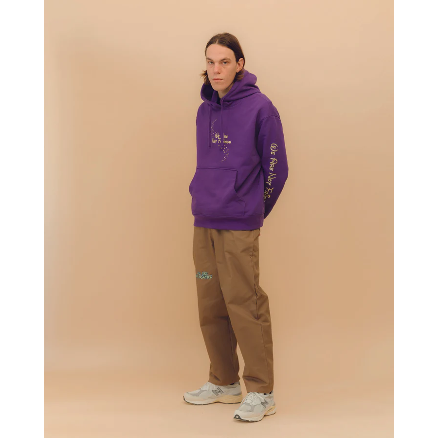 We Are Not Friends Star Wizard World Hoodie