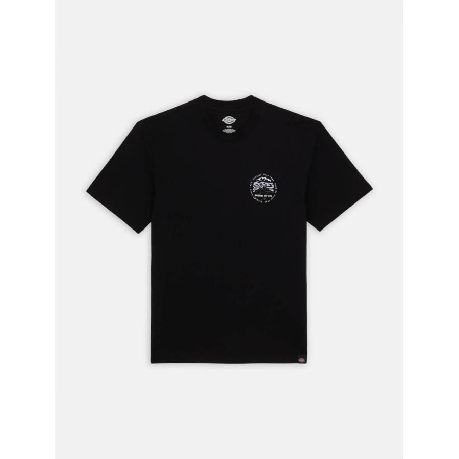 Dickies Stanardsville T-Shirt - Black