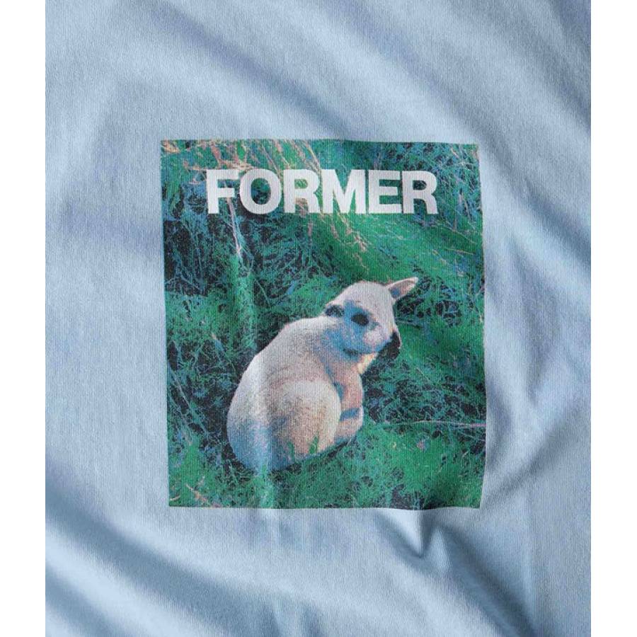 Former Innocense T-Shirt - Mist