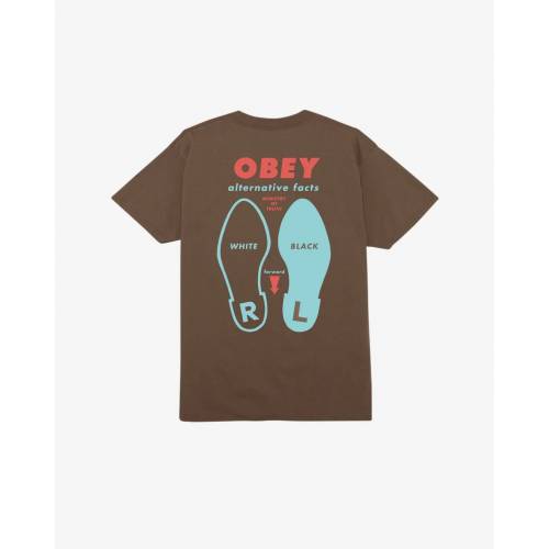 Obey Alternative Facts Classic T-Shirt - Silt