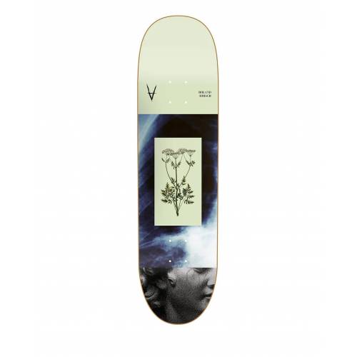 Antiz Skateboards Roland Hirsch Deck - 8.25