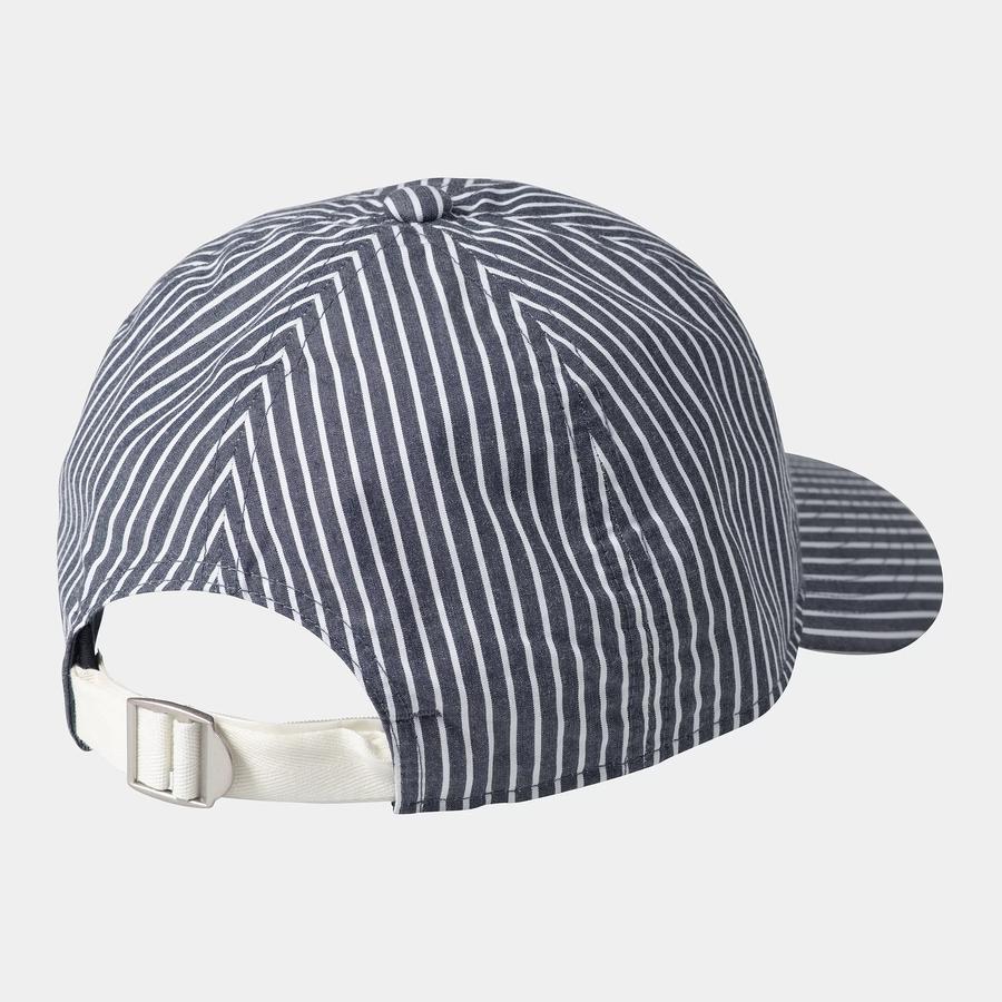 Carhartt WIP Notus Cap - Arvin Stripe / Space