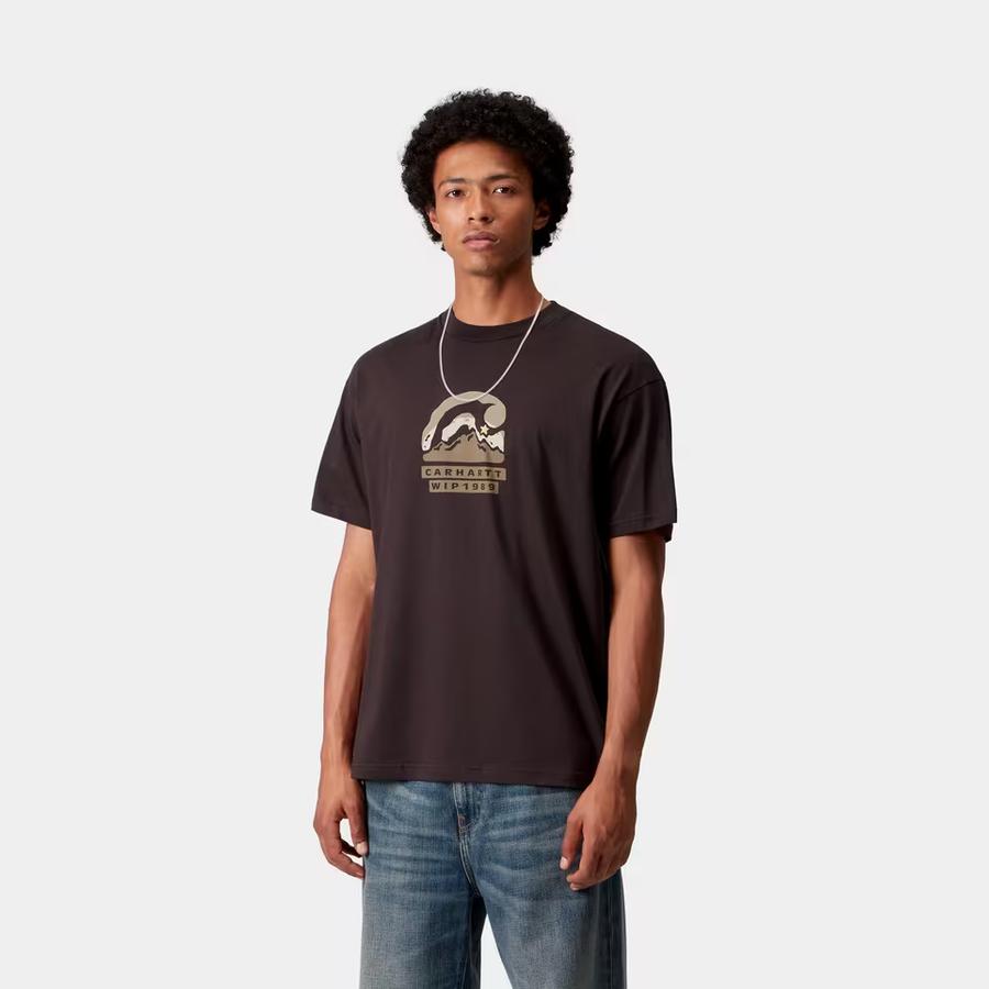 Carhartt WIP S/S Rising Helix T-Shirt - Palisander