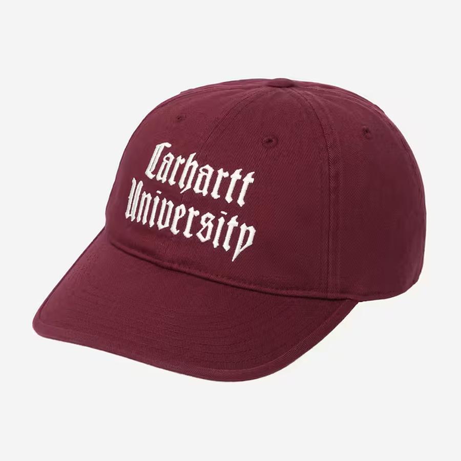 Carhartt WIP Schooling Cap - Rondo / Wax