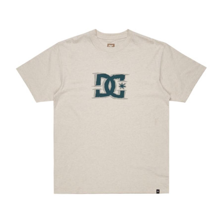DC Shoes Big Deal Star T-Shirt - Snow Heather