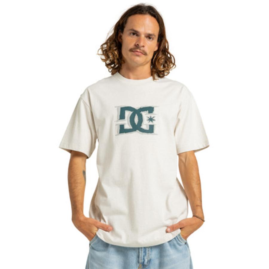 DC Shoes Big Deal Star T-Shirt - Snow Heather