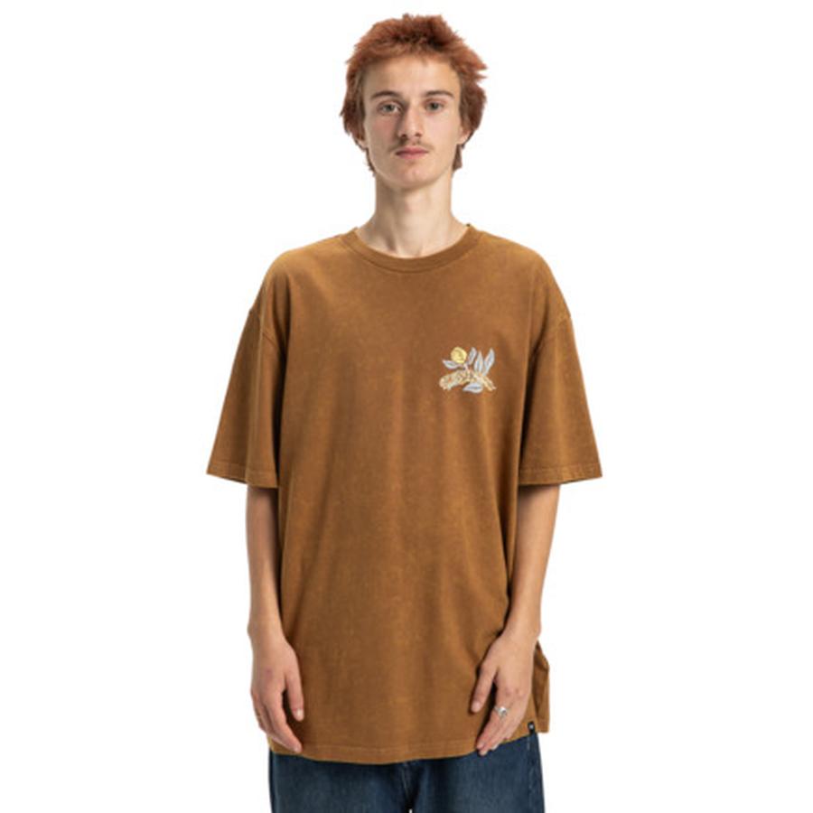 DC Shoes Outgrow T-Shirt - Toffee