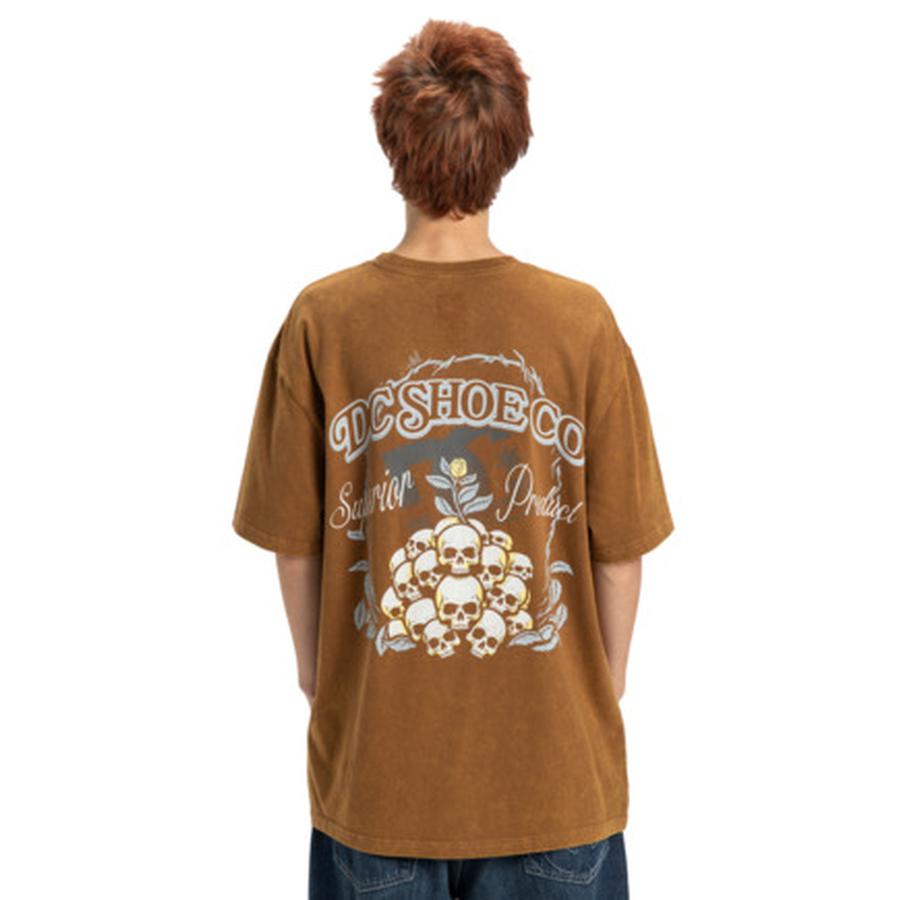 DC Shoes Outgrow T-Shirt - Toffee