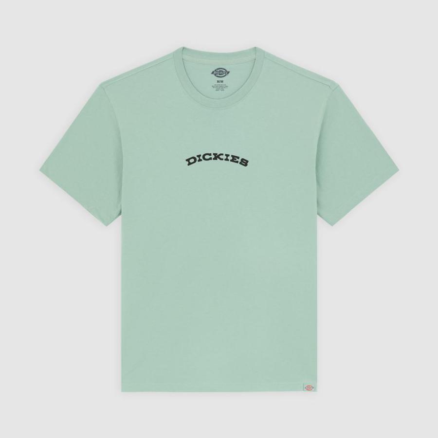 Dickies Outdoor T-Shirt - Green