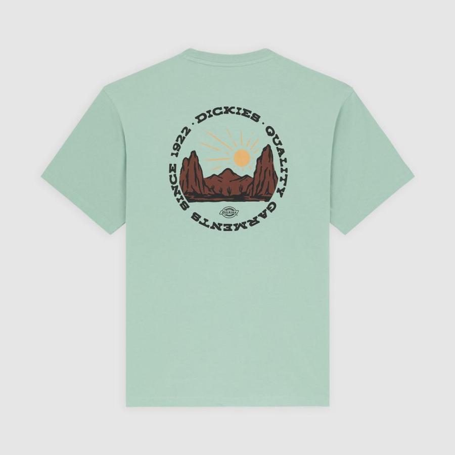 Dickies Outdoor T-Shirt - Green