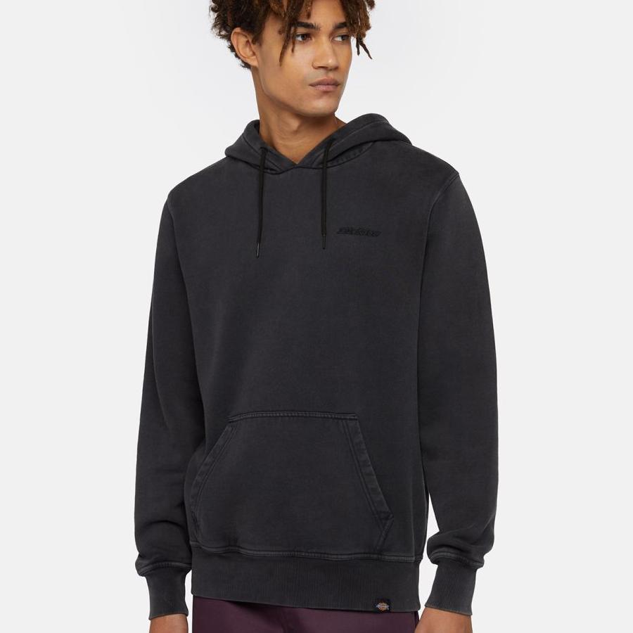 Dickies Plentywood Hoodie - Black