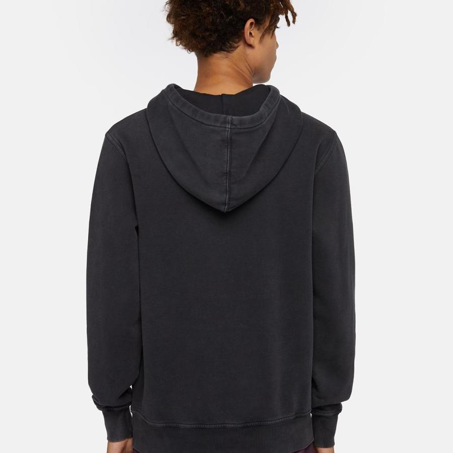Dickies Plentywood Hoodie - Black