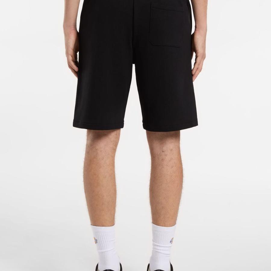 Dickies Mapleton Shorts - Black