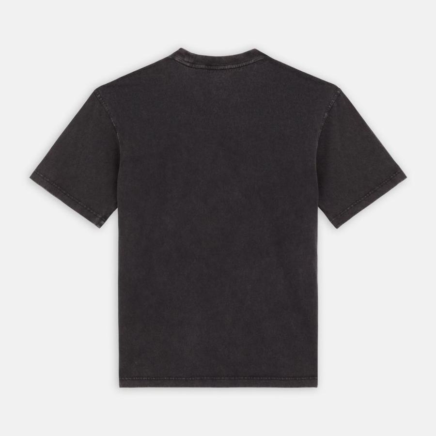 Dickies Plentywood T-Shirt - Black