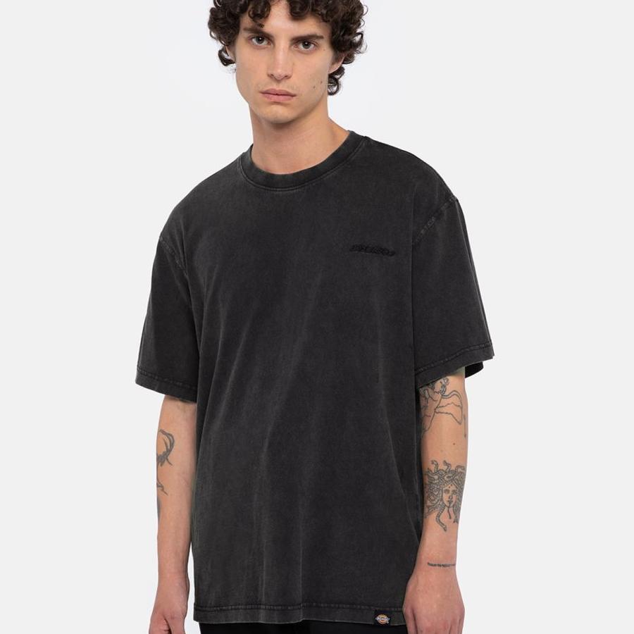 Dickies Plentywood T-Shirt - Black