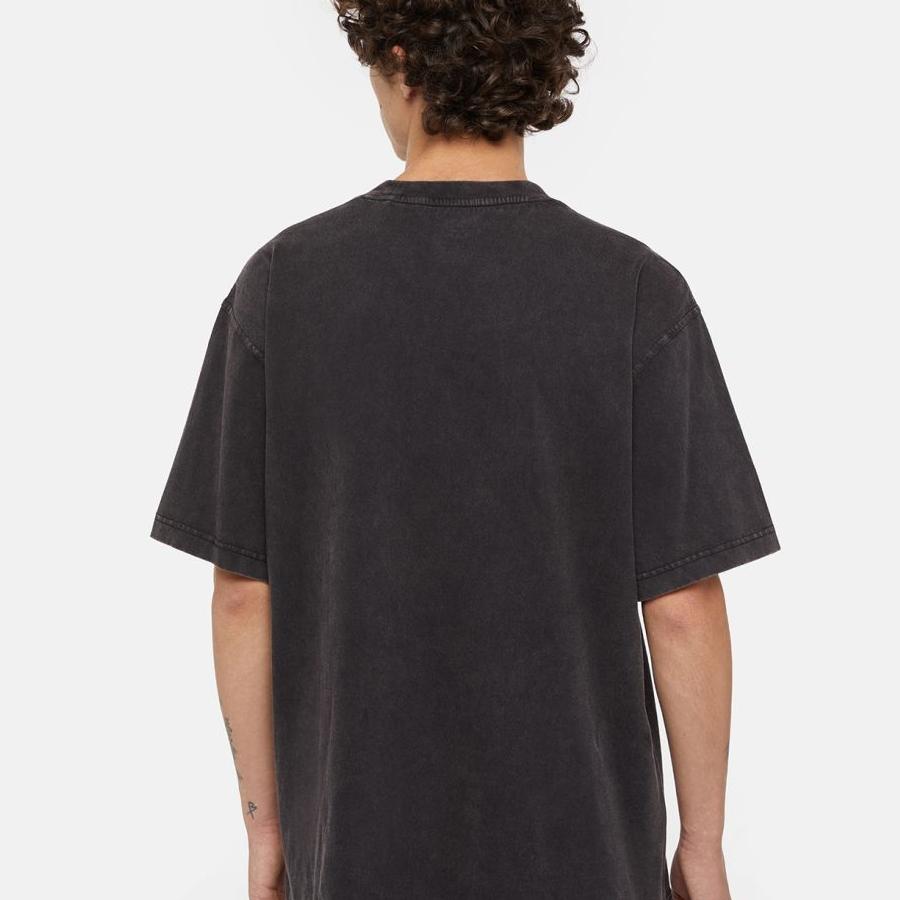 Dickies Plentywood T-Shirt - Black
