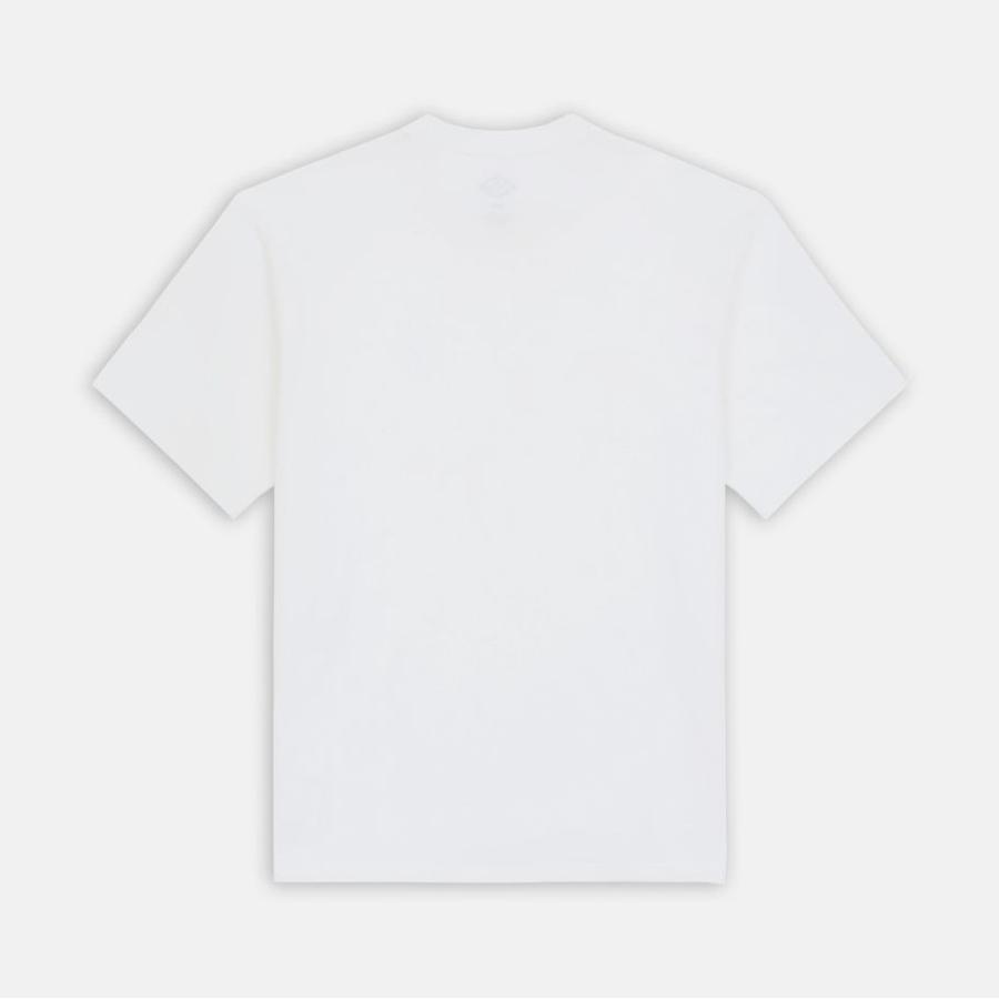 Dickies Clancy Heavyweight T-Shirt - White