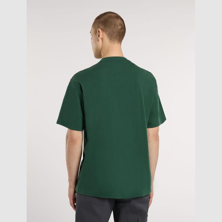 Dickies Sevier T-Shirt - Pine
