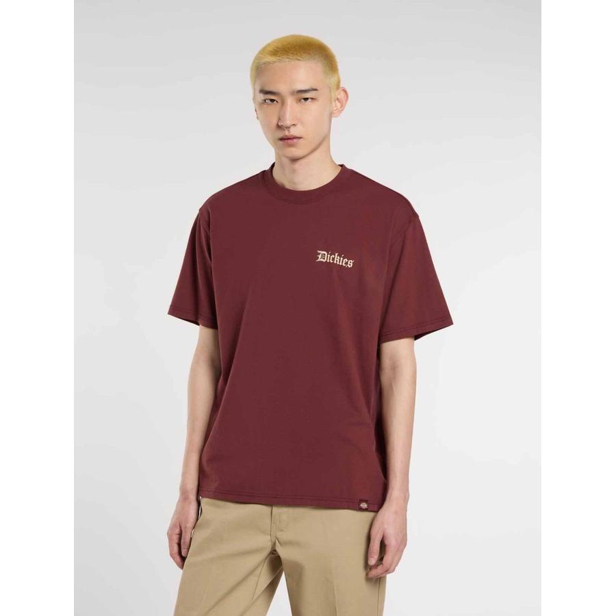 Dickies Diner T-Shirt - Andorra