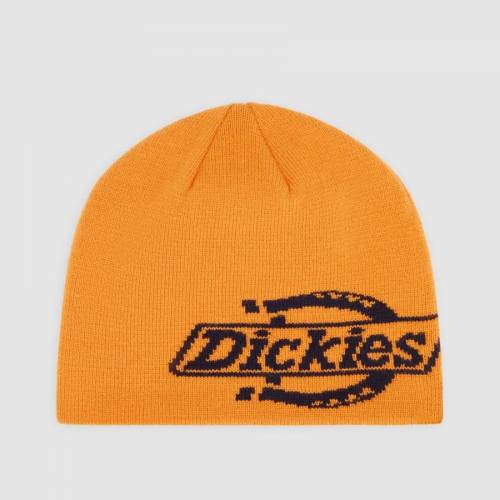 Dickies Summerdale Logo Beanie - Autumn Maple