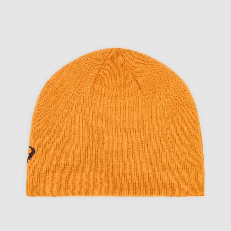 Dickies Summerdale Logo Beanie - Autumn Maple