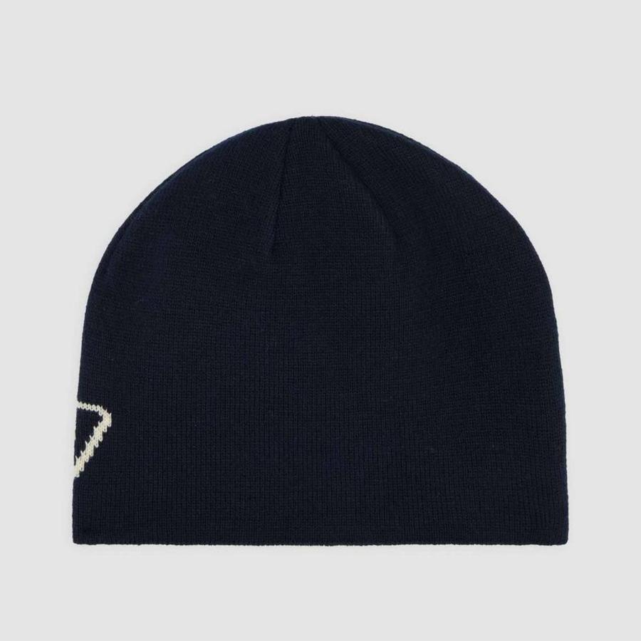Dickies Summerdale Logo Beanie - Night Sky
