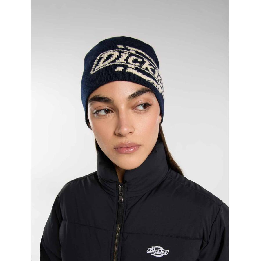 Dickies Summerdale Logo Beanie - Night Sky
