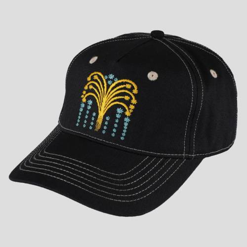 Pass Port Roman Candle Packers Cap - Black