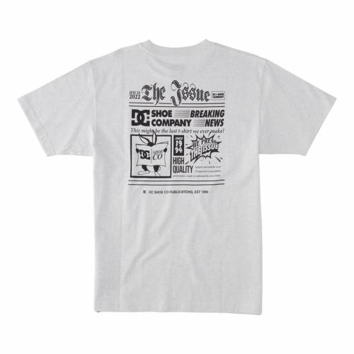 DC Shoes The Issue T-Shirt - Snow Heather