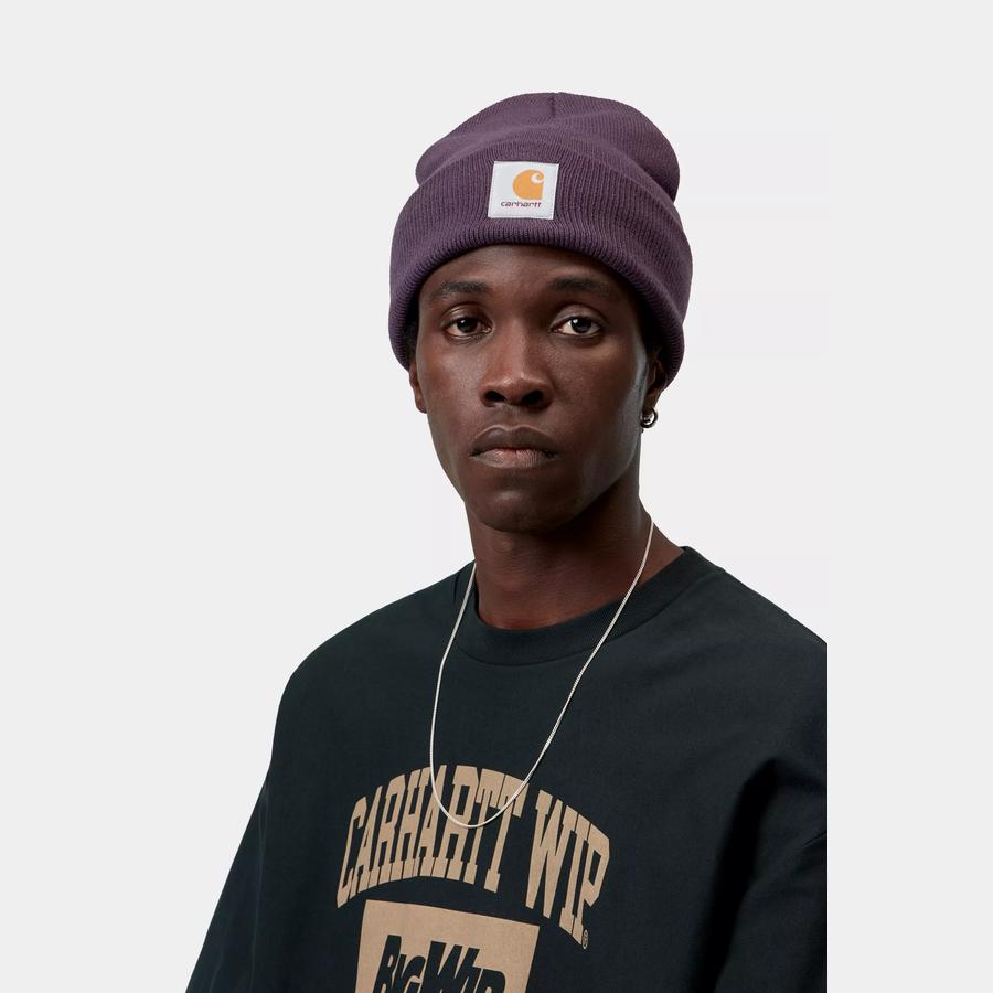 Carhartt WIP Short Watch Hat - Cozy Purple