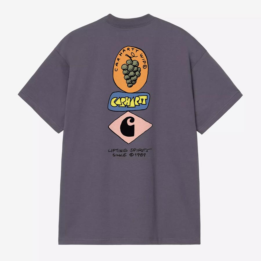 Carhartt WIP S/S Stacked Grapes T-Shirt - Shady Pu...