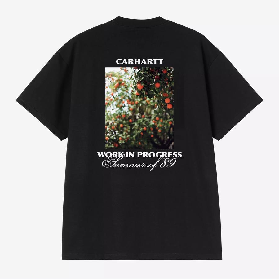 Carhartt WIP S/S Warm Views T-Shirt - Black