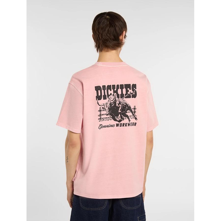 Dickies Buchtell T-Shirt - Rose