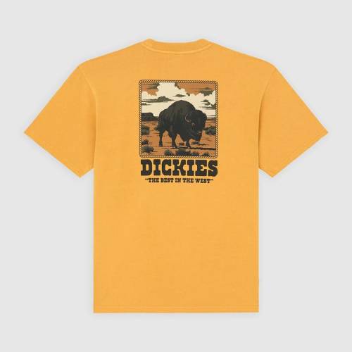 Dickies Darrtown T-Shirt - Sunflower