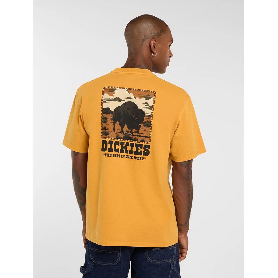 Dickies Darrtown T-Shirt - Sunflower