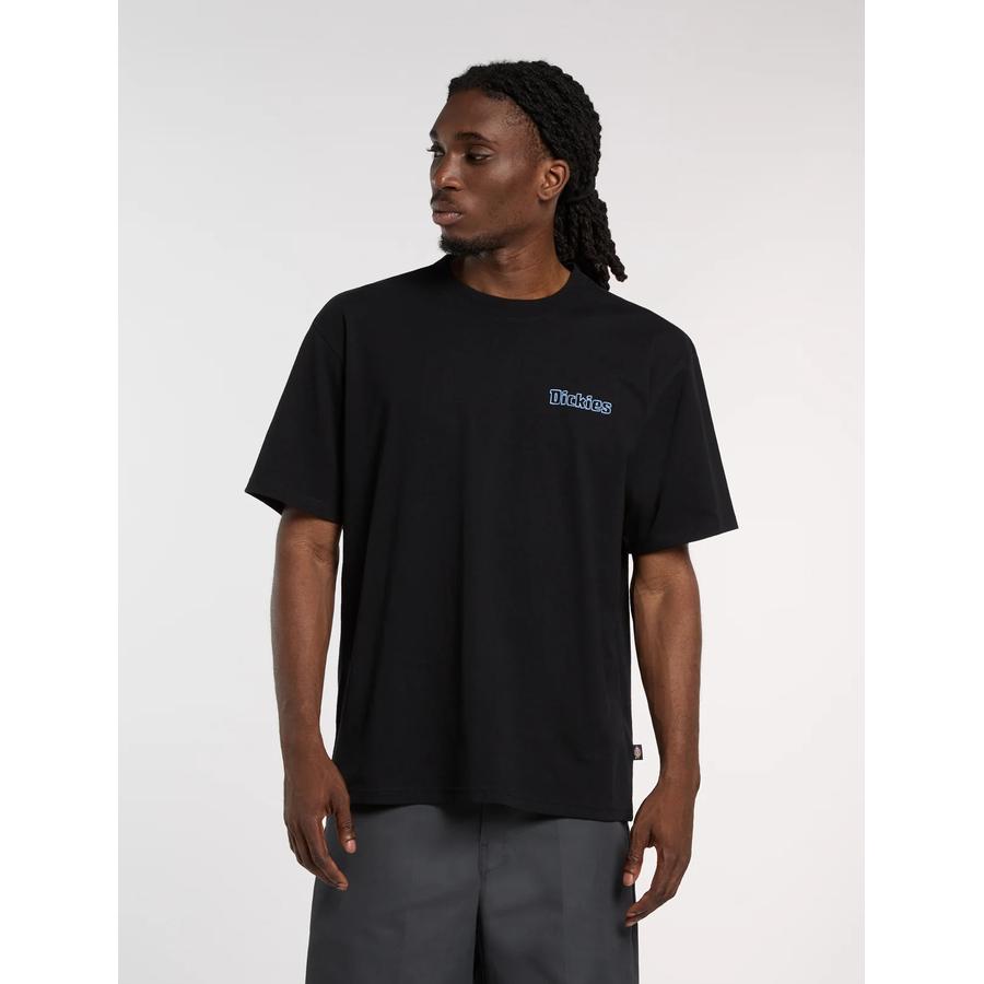 Dickies Fairlawn T-Shirt - Black