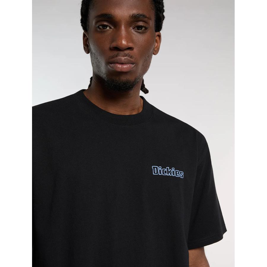 Dickies Fairlawn T-Shirt - Black
