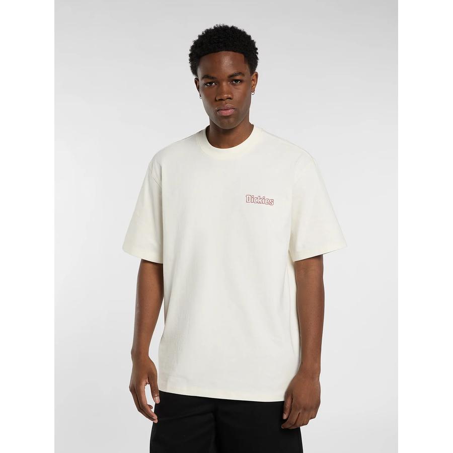 Dickies Fairlawn T-Shirt - White