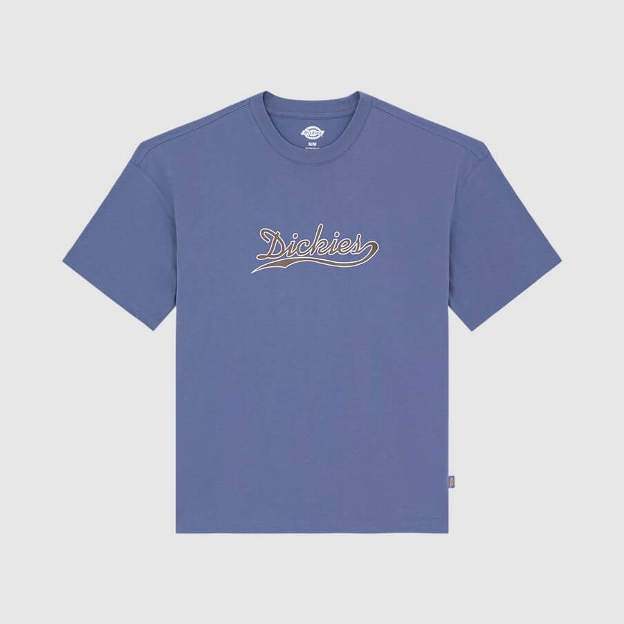 Dickies Loose Wave T-Shirt - Indigo