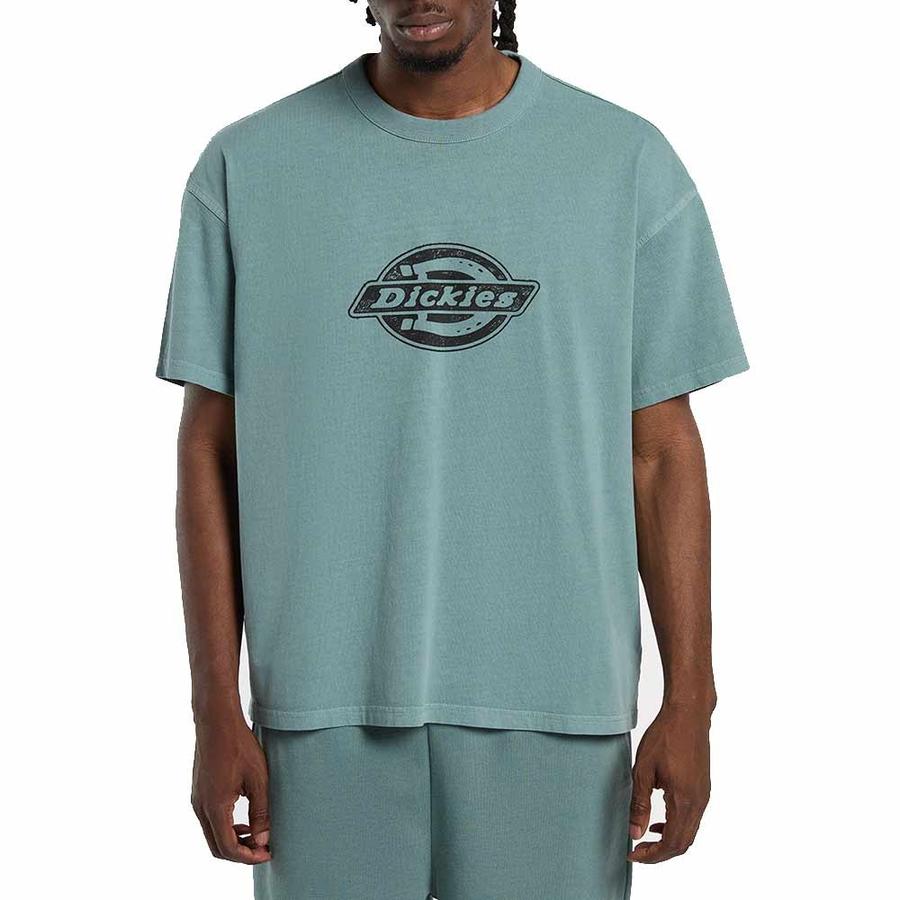 Dickies Plainville T-Shirt - Sea