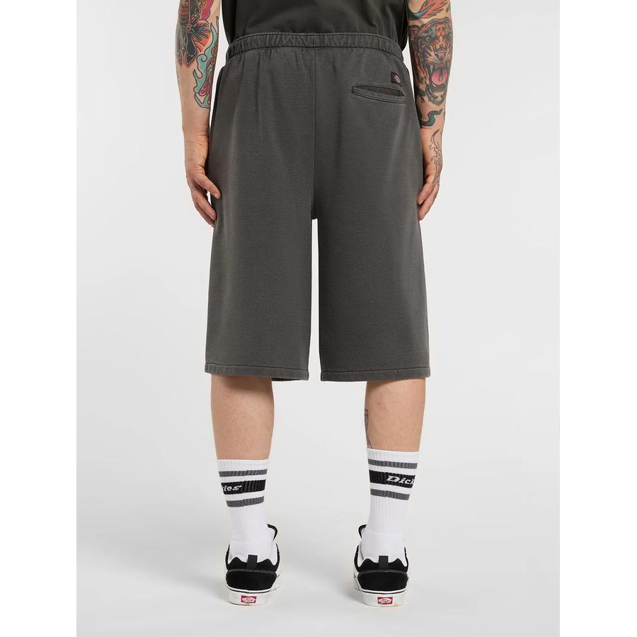 Dickies Streetsboro 13 Inch Athletic Shorts - Black